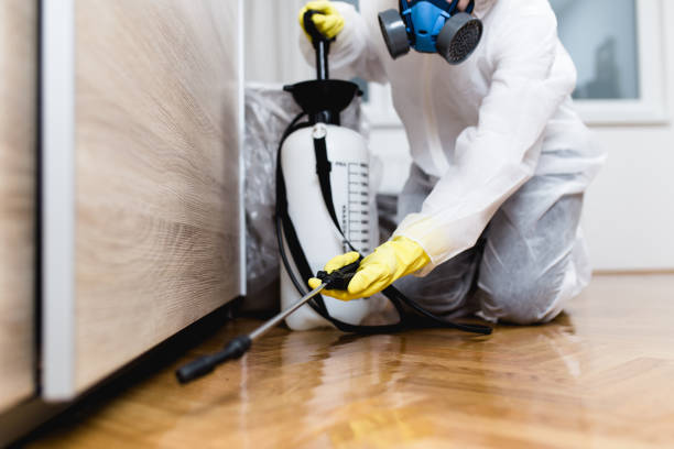 Best Pest Control Cost  in Coeburn, VA