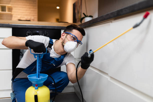 Best Pest Control for Restaurants  in Coeburn, VA