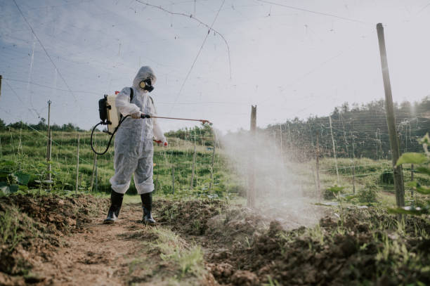 Insect Control in Coeburn, VA