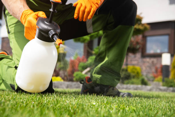 Best Bed Bug Extermination  in Coeburn, VA