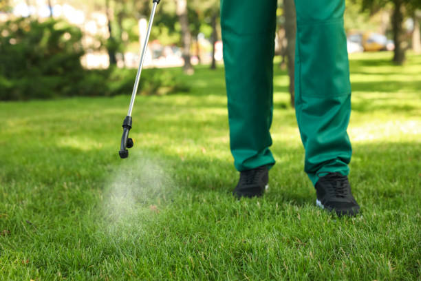Best Pest Prevention Services  in Coeburn, VA
