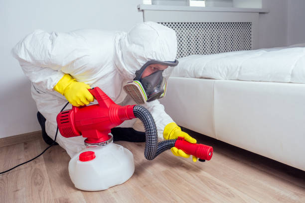 Best Flea Control Services  in Coeburn, VA