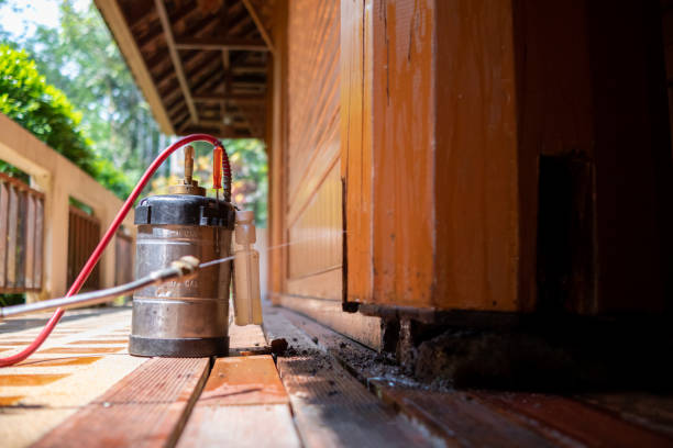 Best Rat Extermination Near Me  in Coeburn, VA