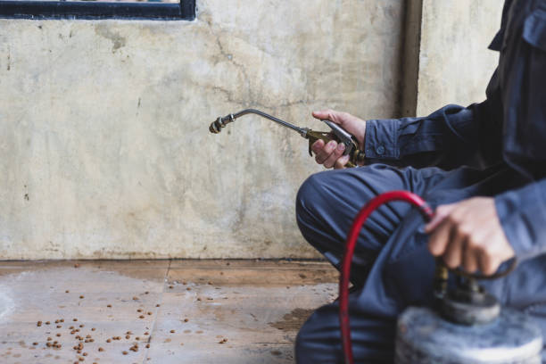 Best Exterminator Services  in Coeburn, VA
